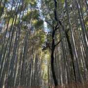 川口こころ 次回19日22時から🈳 渋谷ガーデン