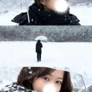 みれい みなさまへ🦢🤍 セグレターリオ