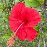 ヒメ日記 2025/12/28 09:26 投稿 山瀬 熟女の風俗最終章　鶯谷店