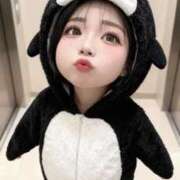 山瀬 おはようございます🐰🩷 熟女の風俗最終章　鶯谷店