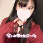 ヒメ日記 2026/01/29 09:52 投稿 せいら 東京リップ 池袋店