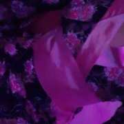 ヒメ日記 2026/01/24 12:01 投稿 ふうか つまみぐいイケちゃいますよ！