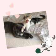 るい おはよう〜🐾 大宮人妻デリヘル～大人の事情～