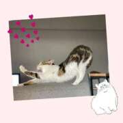 るい ぽかぽか🌸 大宮人妻デリヘル～大人の事情～