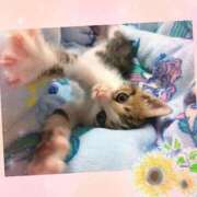 ヒメ日記 2026/08/27 02:55 投稿 るい 大宮人妻デリヘル～大人の事情～