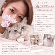 ヒメ日記 2026/09/16 00:25 投稿 るい 大宮人妻デリヘル～大人の事情～
