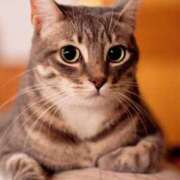 ヒメ日記 2026/01/07 16:49 投稿 なのは 熟女パラダイス岐阜店（カサブランカグループ）