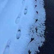 ヒメ日記 2026/01/20 11:12 投稿 なのは 熟女パラダイス岐阜店（カサブランカグループ）