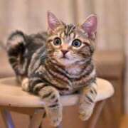 ヒメ日記 2026/01/26 16:54 投稿 なのは 熟女パラダイス岐阜店（カサブランカグループ）