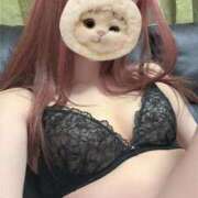 ヒメ日記 2025/12/10 15:47 投稿 ここ ちょこMOCA