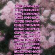 みお 🎀3月出勤予定🎀 ぽっちゃり巨乳素人専門店ぷにめろ渋谷店