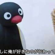 ヒメ日記 2026/06/13 03:16 投稿 みお ぽっちゃり巨乳素人専門店ぷにめろ渋谷店