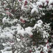 ヒメ日記 2026/02/08 22:48 投稿 きほ 錦糸町ミセスアロマ（ユメオト）