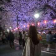 きほ お花見🌸 錦糸町ミセスアロマ（ユメオト）