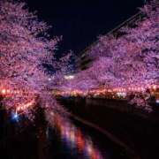 きほ 本日出勤(¯꒳¯ )💗 錦糸町ミセスアロマ（ユメオト）