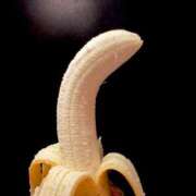 ヒメ日記 2026/04/17 12:19 投稿 星菜　うの 雅(みやび)