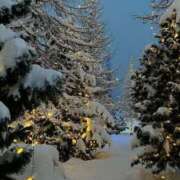 ヒメ日記 2025/12/14 22:16 投稿 永野 りさ ホットアロマ