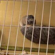 ヒメ日記 2026/03/16 19:01 投稿 たお 即アポマダム～名古屋店～