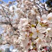 ヒメ日記 2026/02/15 21:18 投稿 きこ 五反田人妻ヒットパレード（シンデレラグループ）