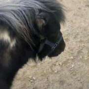 ヒメ日記 2026/01/07 01:23 投稿 七望【ナナミ】 LOVEキタ兎我野店