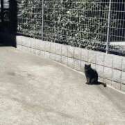 ヒメ日記 2026/03/02 07:53 投稿 七望【ナナミ】 LOVEキタ兎我野店