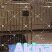 ヒメ日記 2026/01/29 00:22 投稿 あきな 宇都宮発～正統派清楚系デリヘル！ CHERIMO（シェリモ）