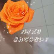 ヒメ日記 2025/12/29 09:31 投稿 中条ゆきな 昼下がりの情事