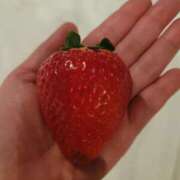 ヒメ日記 2026/02/06 18:31 投稿 中条ゆきな 昼下がりの情事