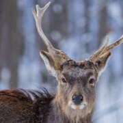 ヒメ日記 2025/12/13 01:33 投稿 もね 女の子がセルフで撮影する店！！成田デリヘル『生パネル』伝説