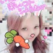 ヒメ日記 2025/12/14 00:17 投稿 はるひ ジュリアングループ八王子店