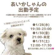 ヒメ日記 2026/01/25 07:48 投稿 あいか 千葉松戸ちゃんこ