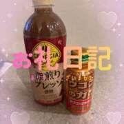 ヒメ日記 2026/02/12 08:22 投稿 あいか 千葉松戸ちゃんこ