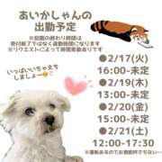 ヒメ日記 2026/02/17 12:05 投稿 あいか 千葉松戸ちゃんこ