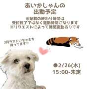 ヒメ日記 2026/02/23 22:09 投稿 あいか 千葉松戸ちゃんこ