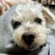 ヒメ日記 2026/03/13 15:40 投稿 あいか 千葉松戸ちゃんこ