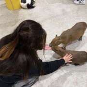 ヒメ日記 2026/04/01 08:04 投稿 あいか 千葉松戸ちゃんこ