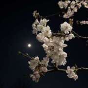 ヒメ日記 2026/04/02 22:52 投稿 あいか 千葉松戸ちゃんこ