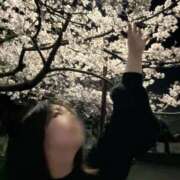 ヒメ日記 2026/04/04 19:42 投稿 あいか 千葉松戸ちゃんこ