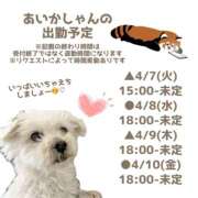 ヒメ日記 2026/04/05 19:07 投稿 あいか 千葉松戸ちゃんこ