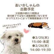 ヒメ日記 2026/04/22 19:24 投稿 あいか 千葉松戸ちゃんこ