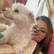 ヒメ日記 2026/04/28 15:08 投稿 あいか 千葉松戸ちゃんこ