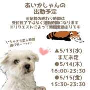 ヒメ日記 2026/05/10 12:05 投稿 あいか 千葉松戸ちゃんこ