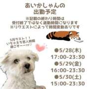 ヒメ日記 2026/05/23 11:27 投稿 あいか 千葉松戸ちゃんこ