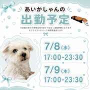 ヒメ日記 2026/07/05 10:26 投稿 あいか 千葉松戸ちゃんこ