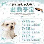 ヒメ日記 2026/07/10 19:34 投稿 あいか 千葉松戸ちゃんこ