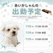 ヒメ日記 2026/07/20 22:40 投稿 あいか 千葉松戸ちゃんこ