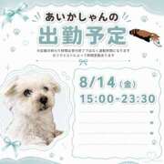 ヒメ日記 2026/08/09 20:06 投稿 あいか 千葉松戸ちゃんこ