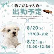 ヒメ日記 2026/08/17 18:38 投稿 あいか 千葉松戸ちゃんこ