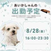 ヒメ日記 2026/08/24 21:51 投稿 あいか 千葉松戸ちゃんこ