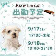 ヒメ日記 2026/09/14 21:34 投稿 あいか 千葉松戸ちゃんこ
